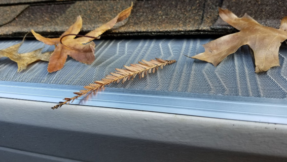leaf protection