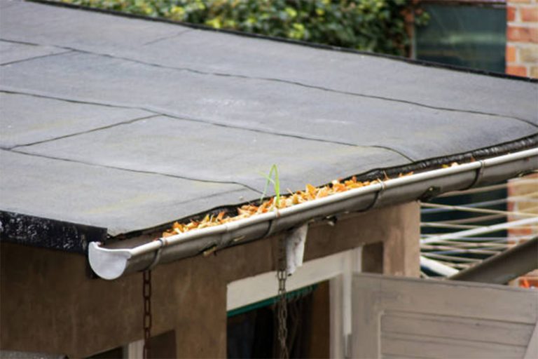 Rain Gutter Leaf Protection