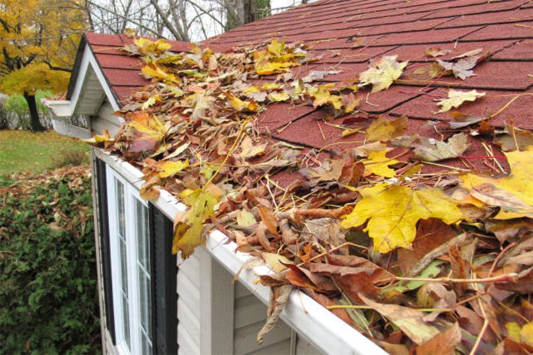 Problems Caused by Leaves Trapped in Your Gutters
