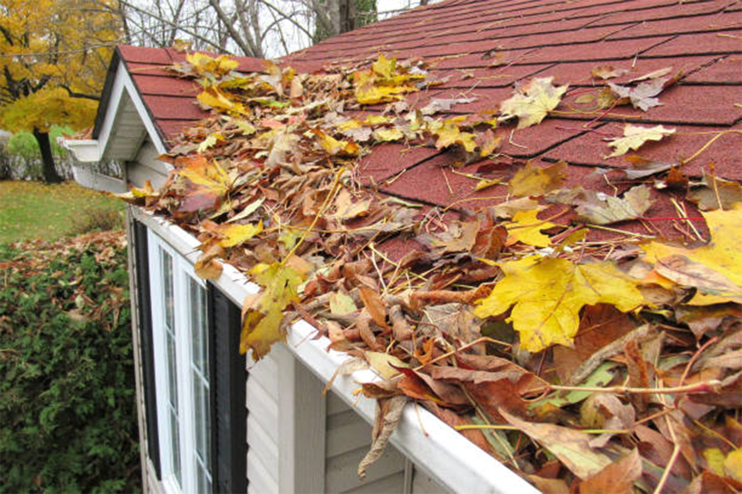 Leaves Trapped in Gutters: 5 Issues - L.I. Metal Systems